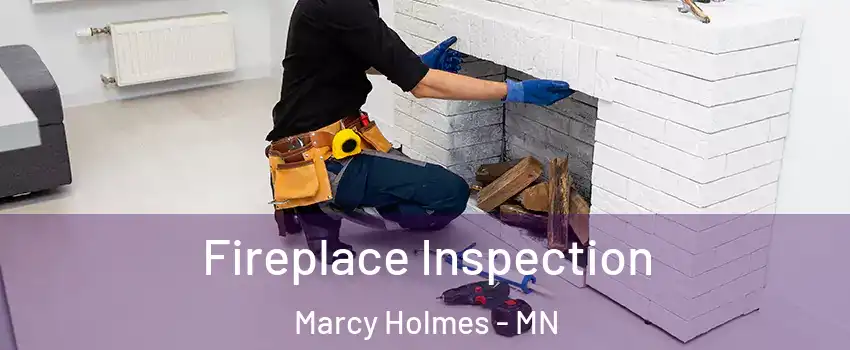 Fireplace Inspection Marcy Holmes - MN