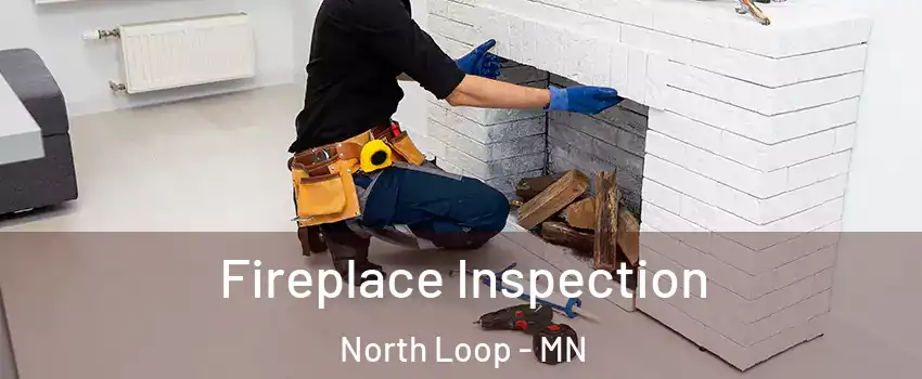Fireplace Inspection North Loop - MN