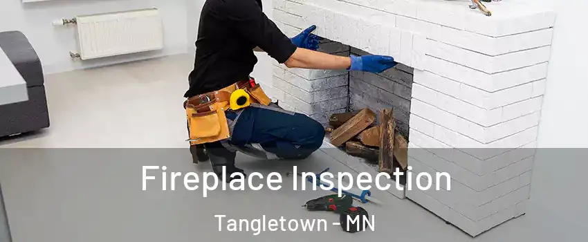 Fireplace Inspection Tangletown - MN