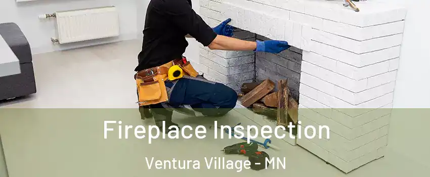 Fireplace Inspection Ventura Village - MN
