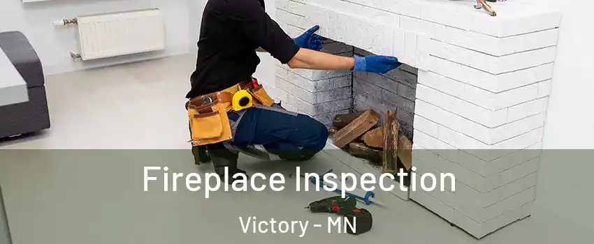 Fireplace Inspection Victory - MN