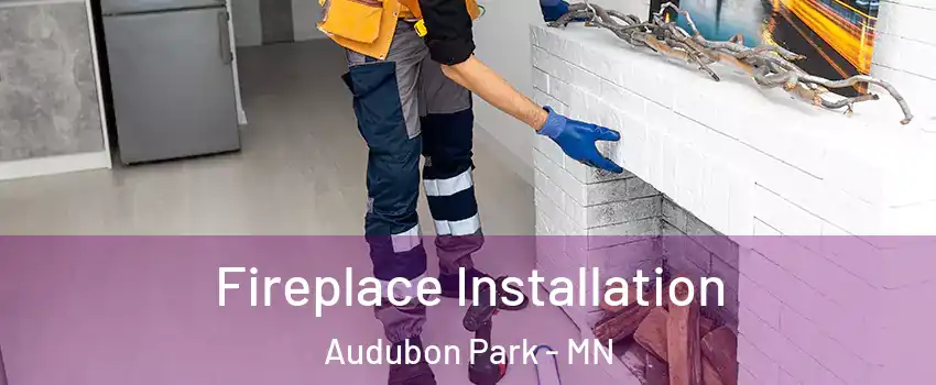 Fireplace Installation Audubon Park - MN