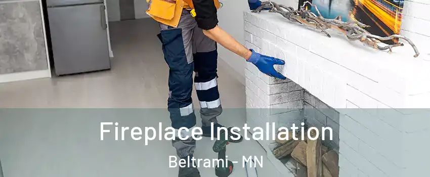 Fireplace Installation Beltrami - MN