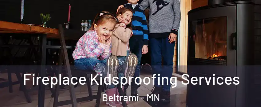 Fireplace Kidsproofing Services Beltrami - MN