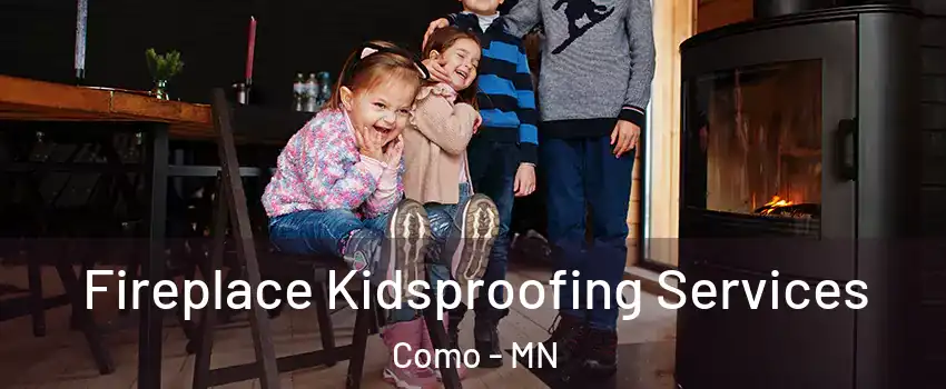 Fireplace Kidsproofing Services Como - MN