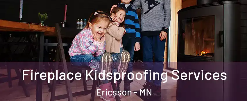 Fireplace Kidsproofing Services Ericsson - MN