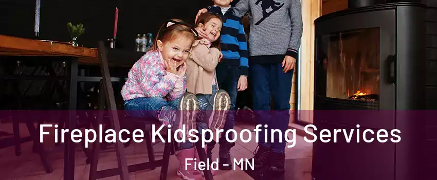 Fireplace Kidsproofing Services Field - MN