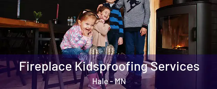 Fireplace Kidsproofing Services Hale - MN