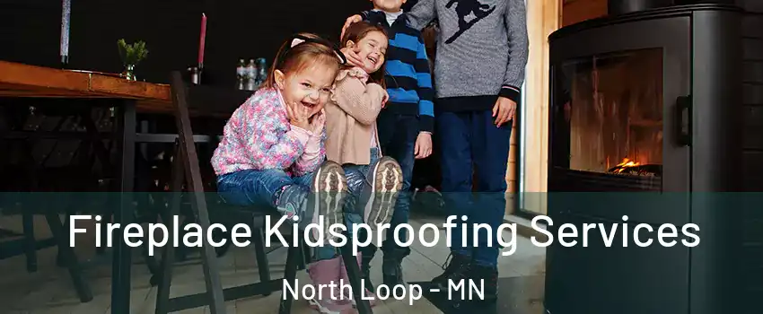 Fireplace Kidsproofing Services North Loop - MN