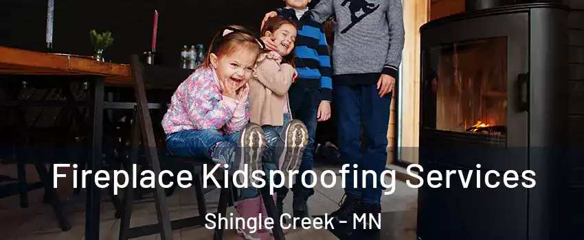 Fireplace Kidsproofing Services Shingle Creek - MN