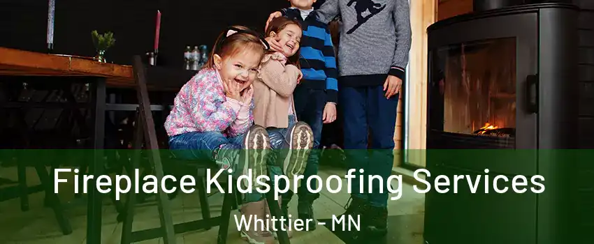 Fireplace Kidsproofing Services Whittier - MN