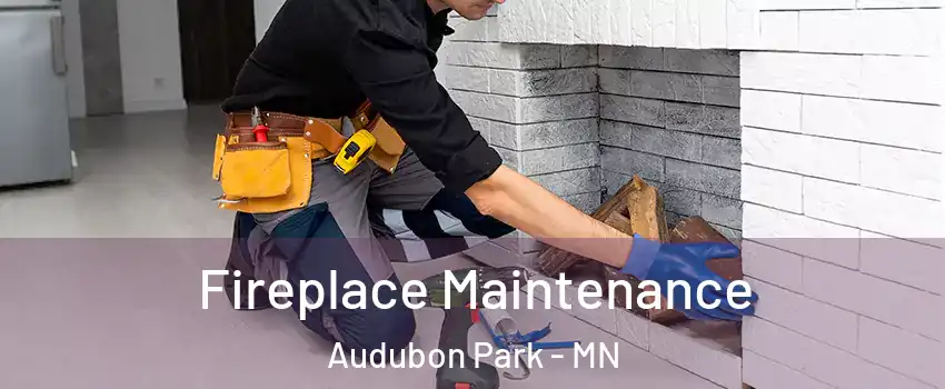 Fireplace Maintenance Audubon Park - MN