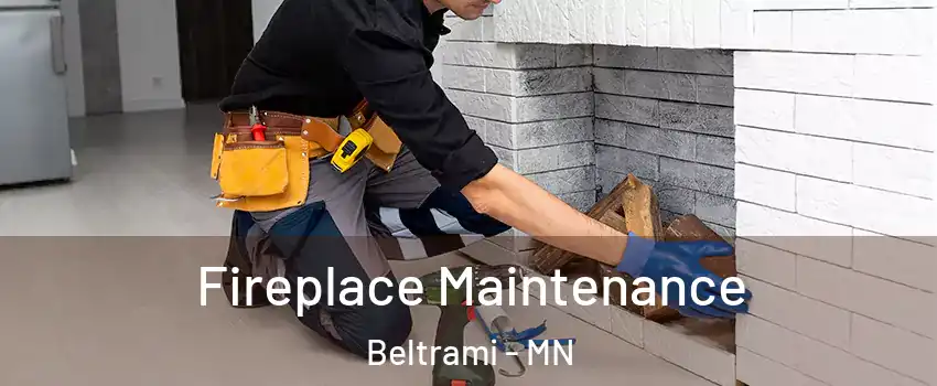 Fireplace Maintenance Beltrami - MN