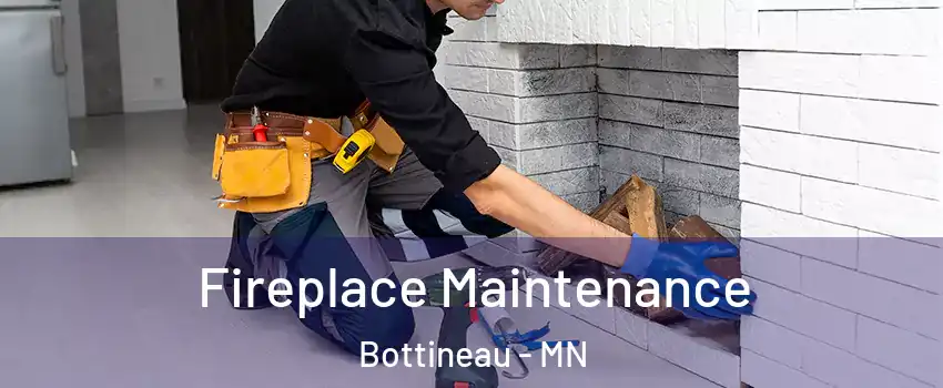 Fireplace Maintenance Bottineau - MN