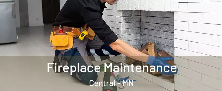 Fireplace Maintenance Central - MN