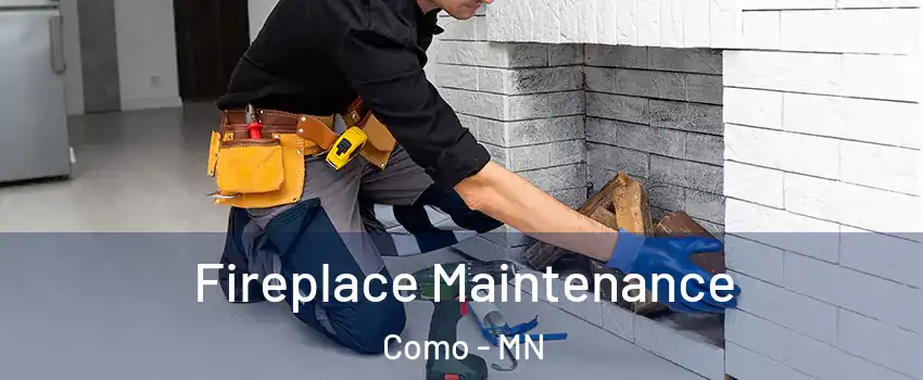 Fireplace Maintenance Como - MN