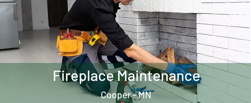 Fireplace Maintenance Cooper - MN