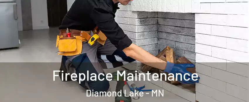 Fireplace Maintenance Diamond Lake - MN