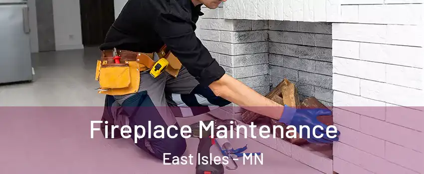 Fireplace Maintenance East Isles - MN