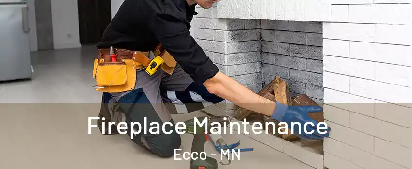 Fireplace Maintenance Ecco - MN