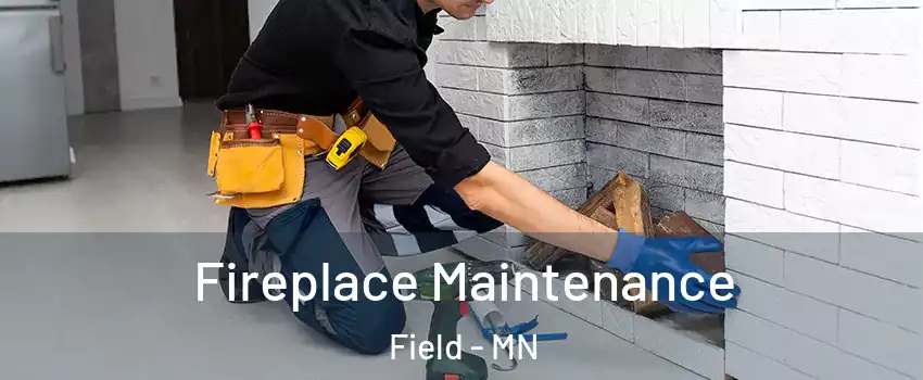 Fireplace Maintenance Field - MN