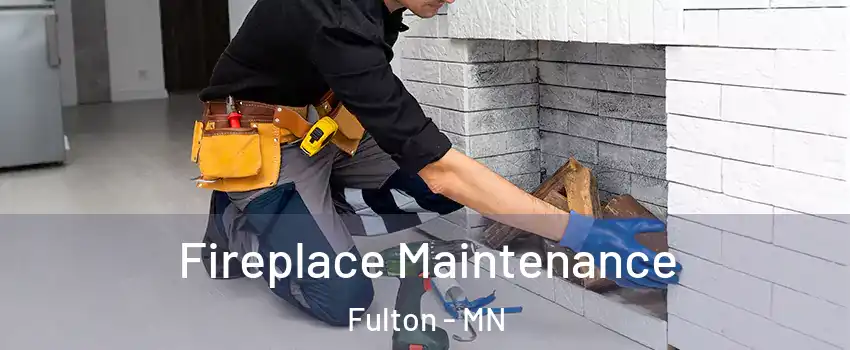 Fireplace Maintenance Fulton - MN