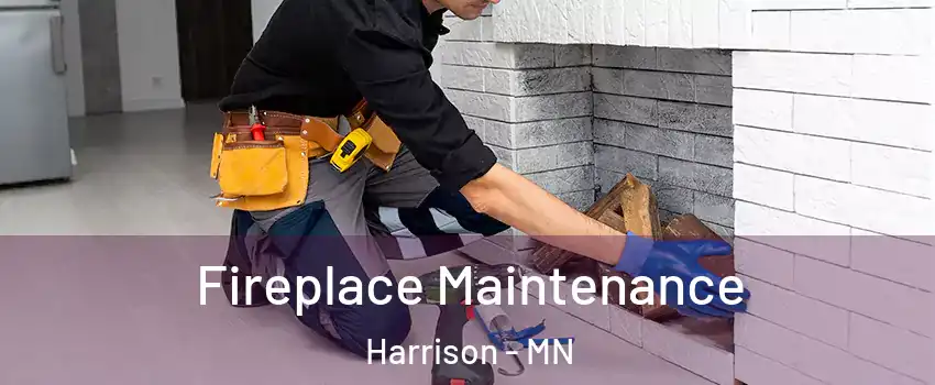 Fireplace Maintenance Harrison - MN
