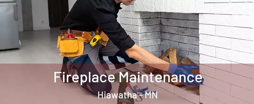Fireplace Maintenance Hiawatha - MN