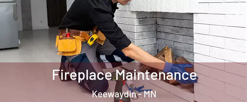 Fireplace Maintenance Keewaydin - MN