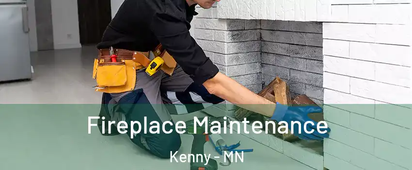 Fireplace Maintenance Kenny - MN