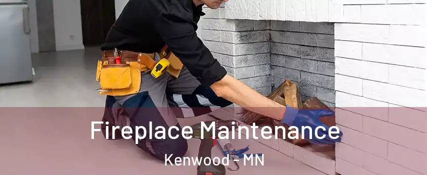 Fireplace Maintenance Kenwood - MN