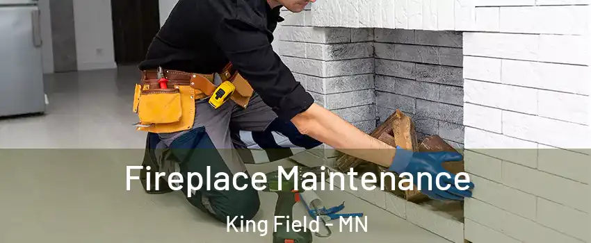 Fireplace Maintenance King Field - MN