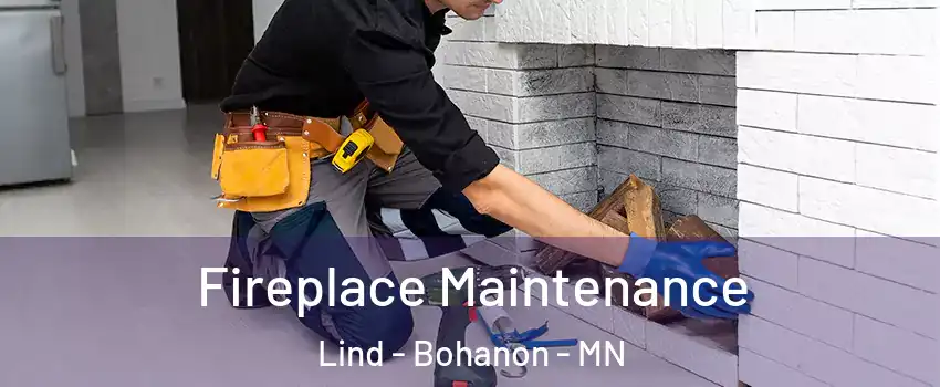 Fireplace Maintenance Lind - Bohanon - MN