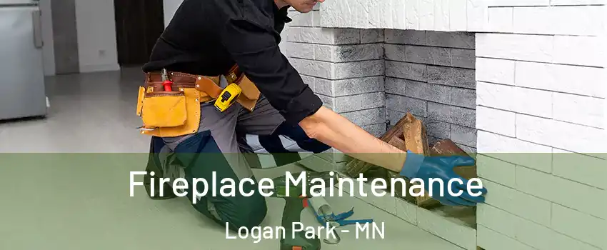 Fireplace Maintenance Logan Park - MN