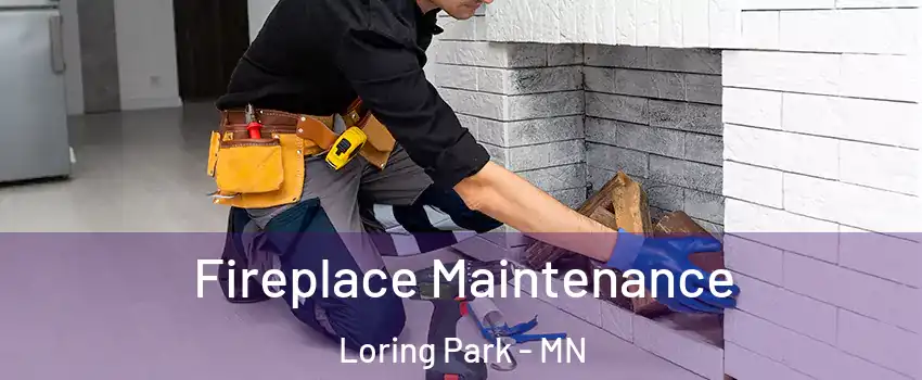 Fireplace Maintenance Loring Park - MN