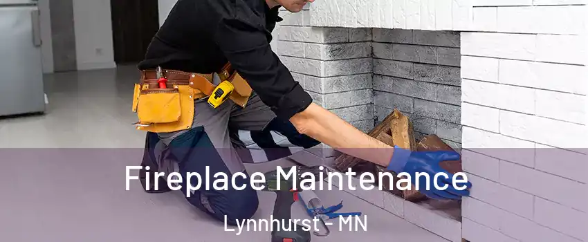 Fireplace Maintenance Lynnhurst - MN