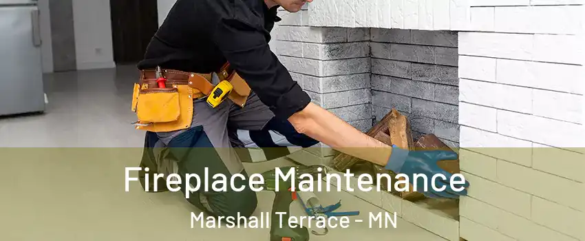 Fireplace Maintenance Marshall Terrace - MN