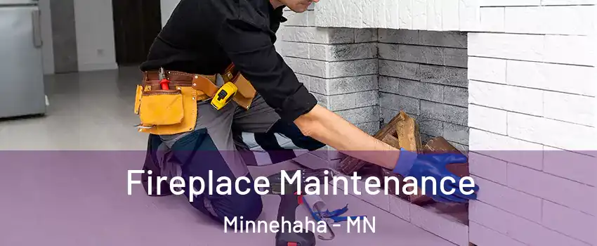 Fireplace Maintenance Minnehaha - MN