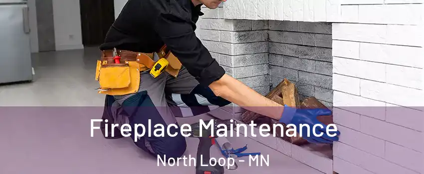 Fireplace Maintenance North Loop - MN