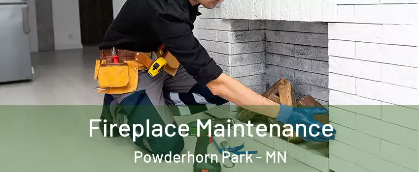 Fireplace Maintenance Powderhorn Park - MN