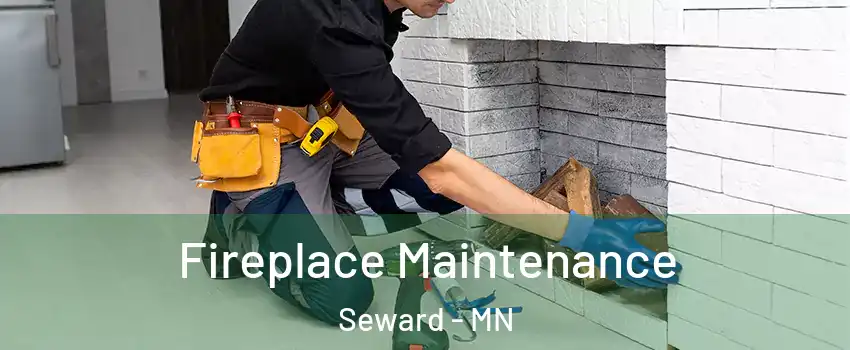 Fireplace Maintenance Seward - MN
