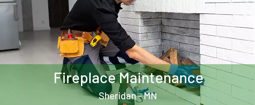 Fireplace Maintenance Sheridan - MN
