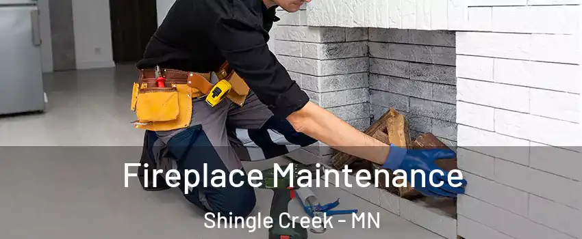 Fireplace Maintenance Shingle Creek - MN