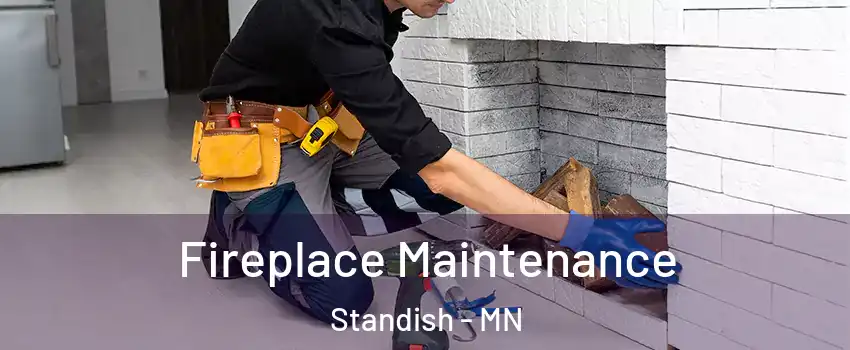 Fireplace Maintenance Standish - MN