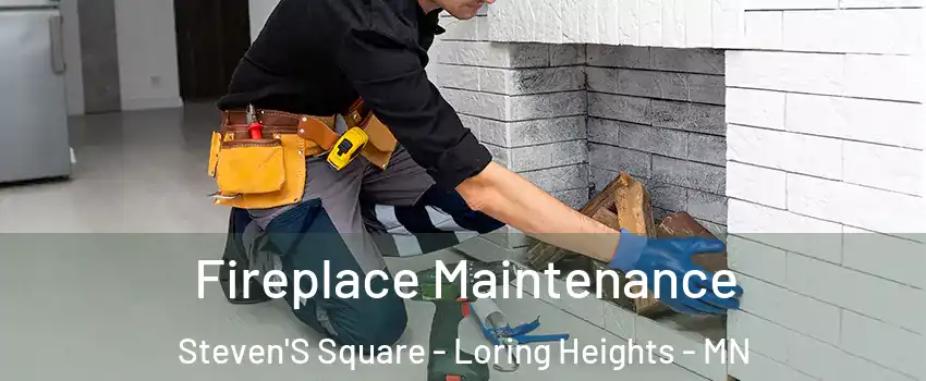 Fireplace Maintenance Steven'S Square - Loring Heights - MN