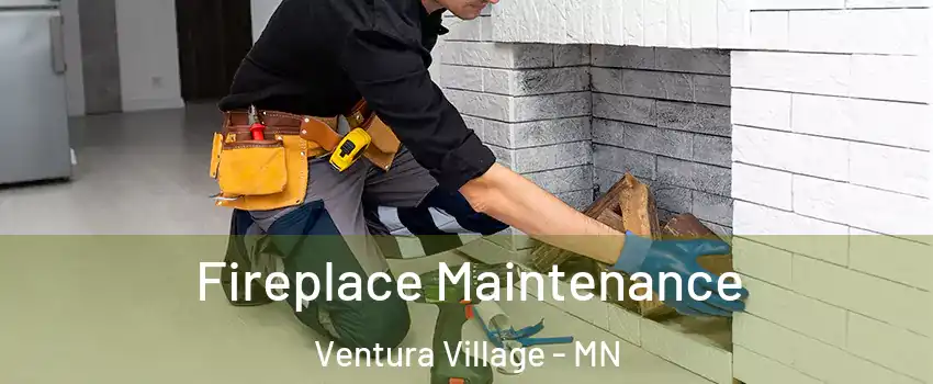 Fireplace Maintenance Ventura Village - MN
