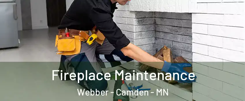 Fireplace Maintenance Webber - Camden - MN