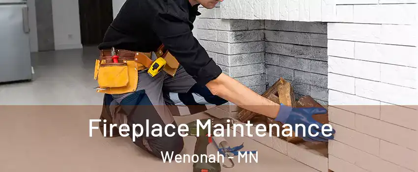 Fireplace Maintenance Wenonah - MN