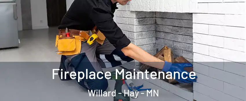 Fireplace Maintenance Willard - Hay - MN