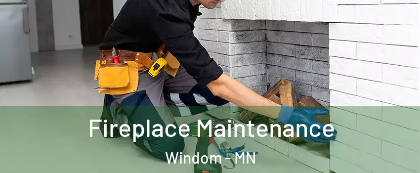 Fireplace Maintenance Windom - MN